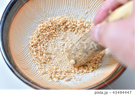 すり鉢と白ごま、すり胡麻。小さいサイズのすり鉢と擂粉木、白ごま（炒りごま）です。ゴマは擦っています。 43494447