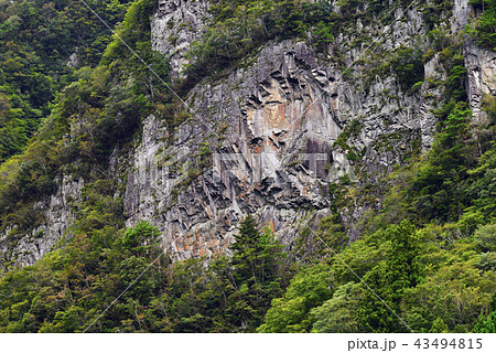 小太郎岩中腹のライオン岩(奈良県宇陀郡曽爾村) 小太郎岩中腹のライオン岩(奈良県宇陀郡曽爾村) 43494815