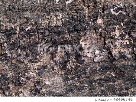 Horizontal Brown Texture of Wooden Grain Backgroun 43496549