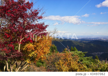 紅葉の御岳山　御岳平付近 43497062