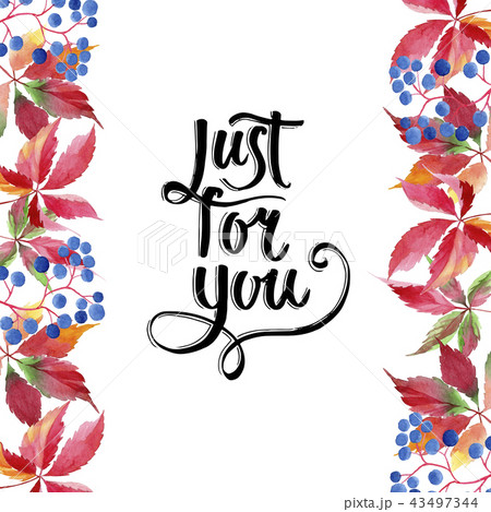 Watercolor red grapes leaves. Leaf plant botanical garden floral foliage. Frame border ornament 43497344