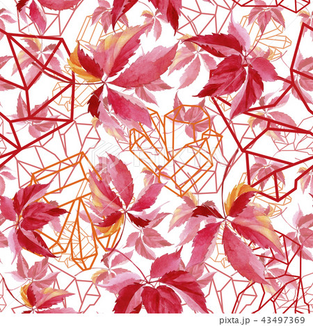 Watercolor red grapes leaves. Leaf plant botanical garden floral foliage. Seamless background Watercolor red grapes leaves. Leaf plant botanical garden floral foliage. Seamless background 43497369