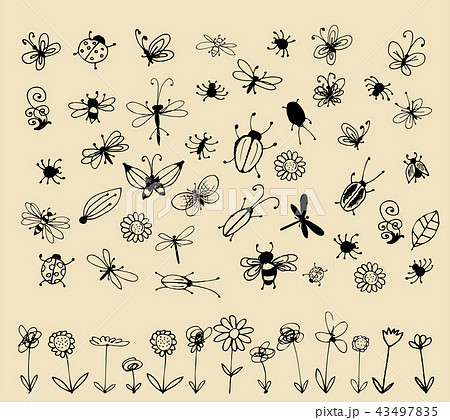 Insect sketch collection for your design Insect sketch collection for your design 43497835
