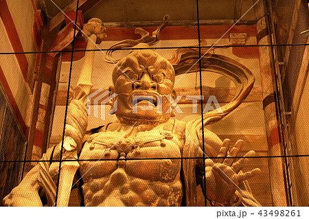 阿形奈良東大寺 43498261