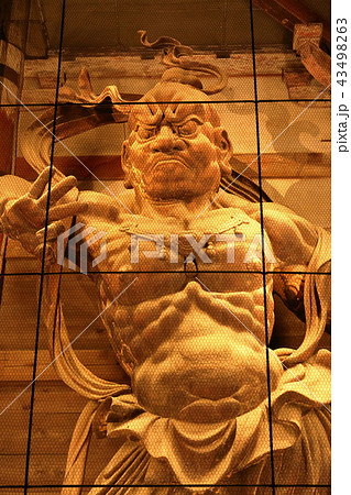 奈良東大寺吽形 43498263