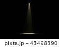 ライト 43498390