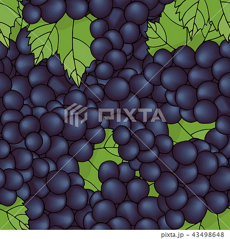 Seamless pattern with grapes. Seamless pattern with grapes. 43498648