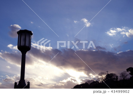 大船の空 43499902