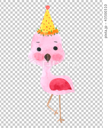 Flamingo watercolor isolated on white background 43500310