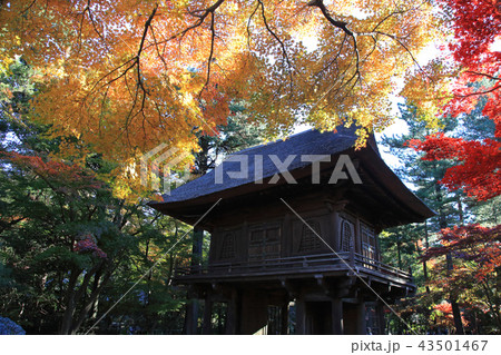 平林寺山門 43501467