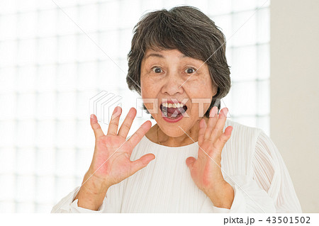 ビックリする日本人シニア女性 ビックリする日本人シニア女性 43501502