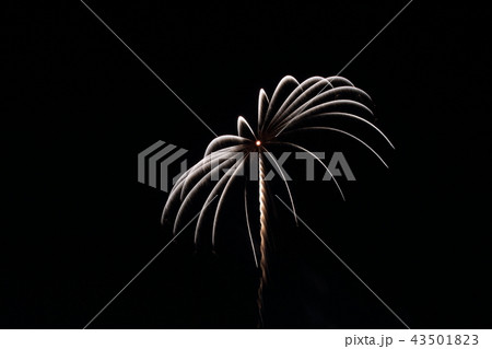 シンプル打ち上げ花火 シンプル打ち上げ花火 43501823
