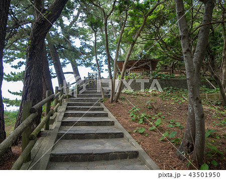 【伊豆半島ジオパーク】夏の西伊豆堂ヶ島の風景【遊歩道】 43501950