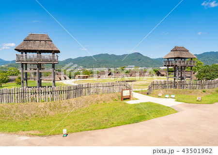 吉野ヶ里歴史公園 吉野ヶ里歴史公園 43501962