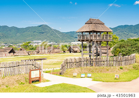 吉野ヶ里歴史公園 吉野ヶ里歴史公園 43501963