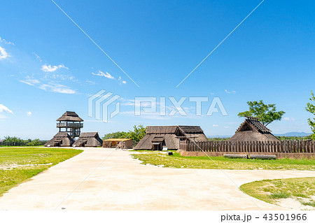 吉野ヶ里歴史公園 43501966