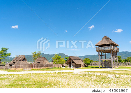 吉野ヶ里歴史公園 43501967