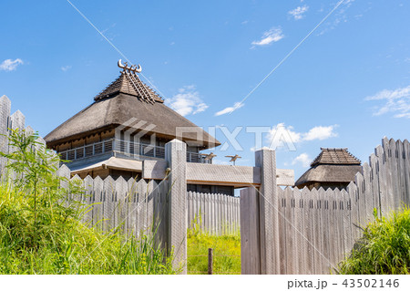 吉野ヶ里歴史公園 43502146