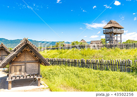 吉野ヶ里歴史公園 吉野ヶ里歴史公園 43502256