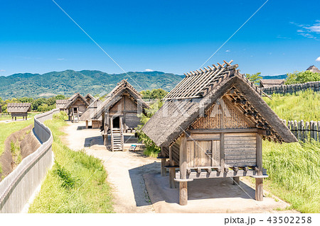 吉野ヶ里歴史公園 吉野ヶ里歴史公園 43502258