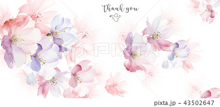 透明水彩 水彩画 花 43502647
