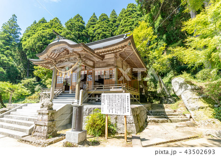 脊振神社 下宮 脊振神社 下宮 43502693