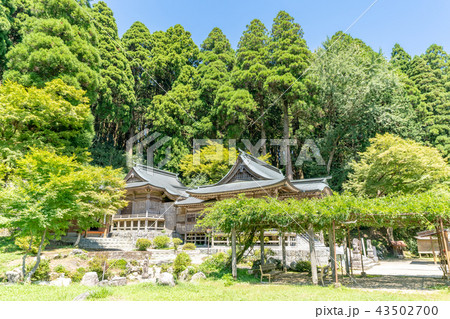 脊振神社 下宮 脊振神社 下宮 43502700