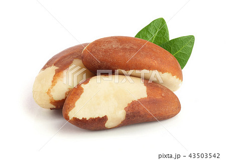 Brazil nuts with leaves isolated on white background closeup. Full depth of field Brazil nuts with leaves isolated on white background closeup. Full depth of field 43503542
