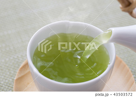 緑茶 43503572