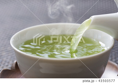 緑茶 43503577