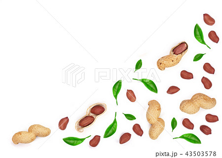 Peanuts decorated with green leaves isolated on white background, top view. Flat lay pattern 43503578