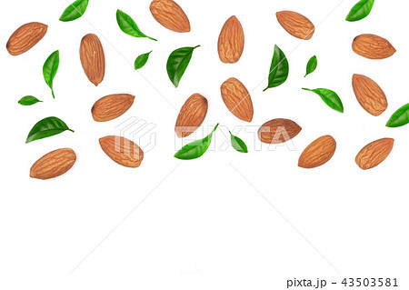almonds decorated with leaves isolated on white background with copy space for your text. Top view 43503581