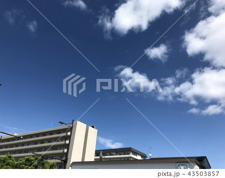 青空 青空 43503857