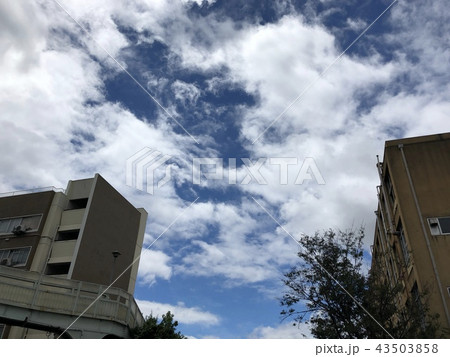 京都の空 京都の空 43503858