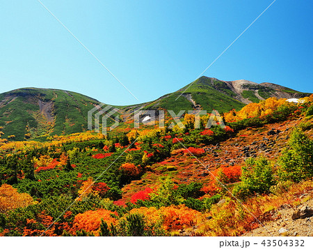 紅葉の乗鞍岳 43504332