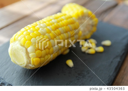 甘くて美味しい北海道産の茹でた朝採れトウモロコシ 43504363