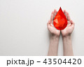 Two hands holding red polygonal blood drop 43504420