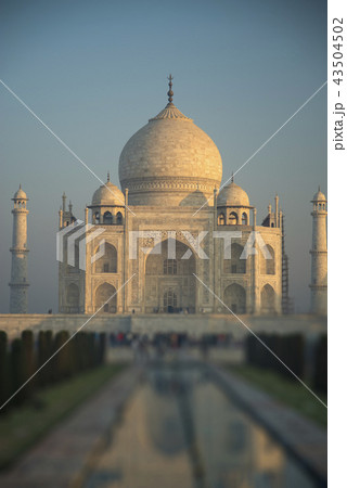 Taj Mahal 43504502