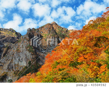 紅葉の谷川岳 43504592