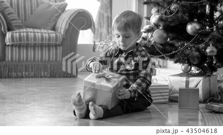 Black and white image of cute toddler boy sitting under Christmas tree and pulling bow on gift box 43504618