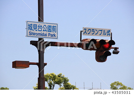 兵庫県姫路市内のスクランブル交差点にて。 兵庫県姫路市内のスクランブル交差点にて。 43505031