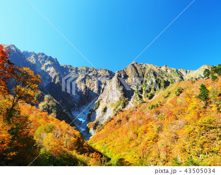 紅葉の谷川岳 43505034