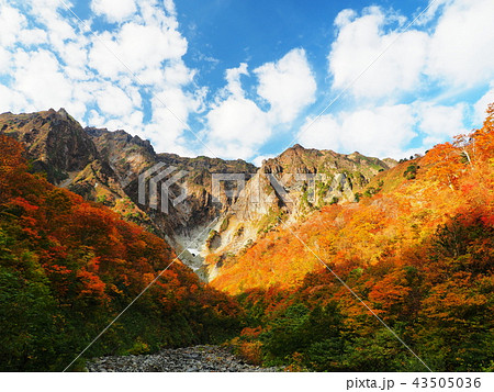 紅葉の谷川岳 43505036