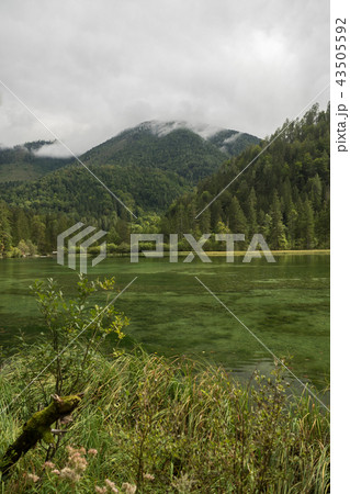 Schiederweiher, beautiful lake in Austria   43505592