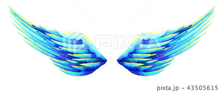 angel wing watercolor painting illustration design 43505615