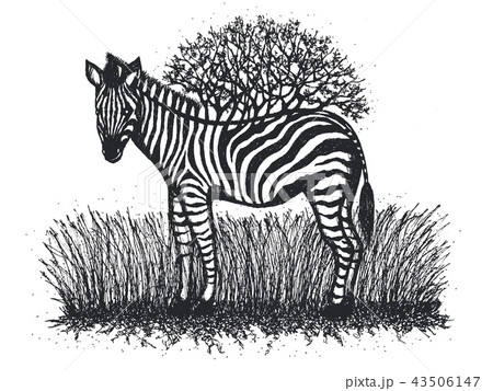 baby zebra flower tree illustration design baby zebra flower tree illustration design 43506147