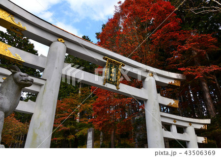 三峯神社の紅葉 43506369