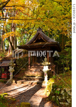 三峯神社の紅葉 三峯神社の紅葉 43506371