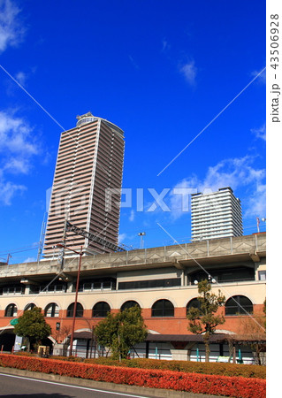 冬の岐阜市 都市風景 冬の岐阜市 都市風景 43506928