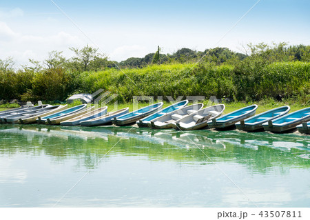 湖畔の風景 43507811